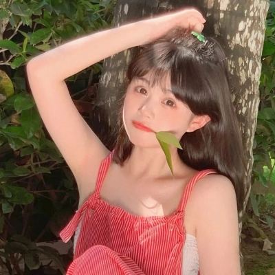 百炼修仙破解版下载